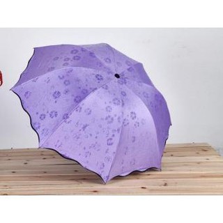  Ô NỞ HOA GẤP GỌN [  cơn bão giảm giá ]