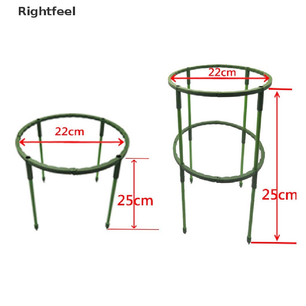 Set 4 Giá Đỡ Hỗ Trợ Trồng Cây Bonsai Tiện Dụng
