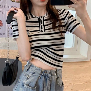 🌸🎉 Áo PoLo Len Dệt 🎉🌸