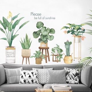 Decal Dán Tường mẫu Chậu cây Nhiệt đới 03