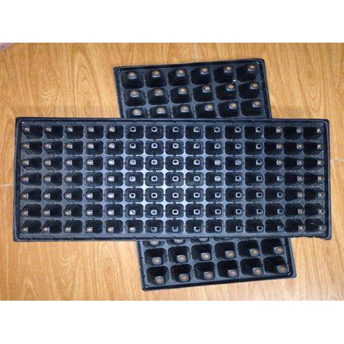 Bộ 5 Khay ươm hàng dày loại đẹp các size