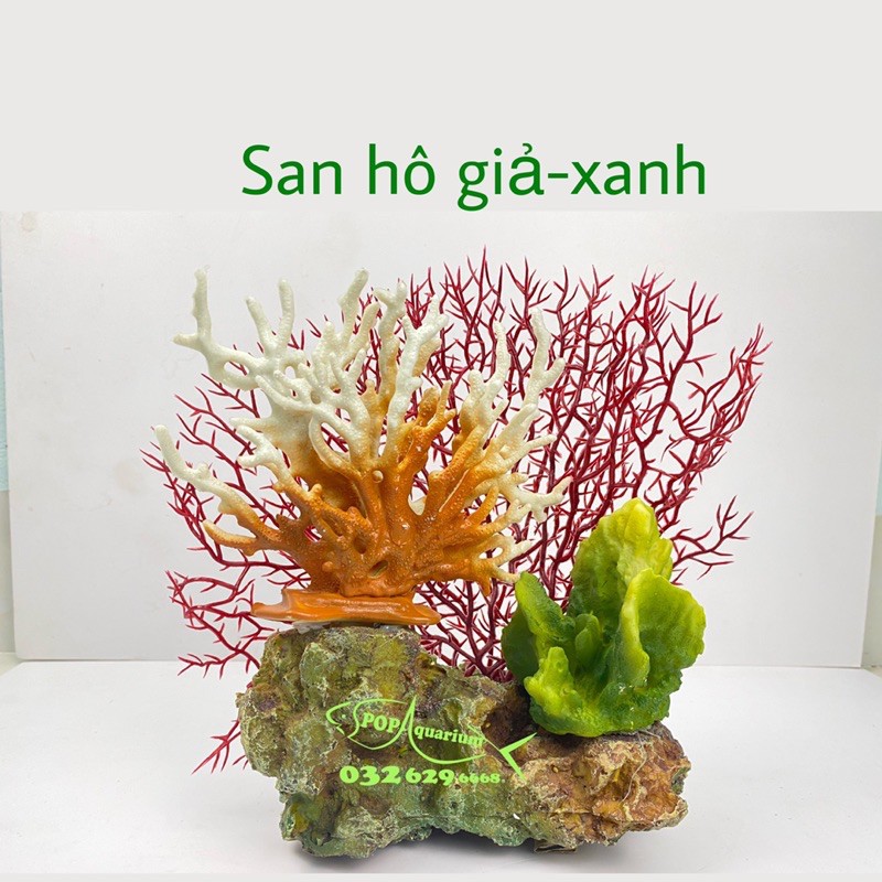 san hô trang trí bể cá