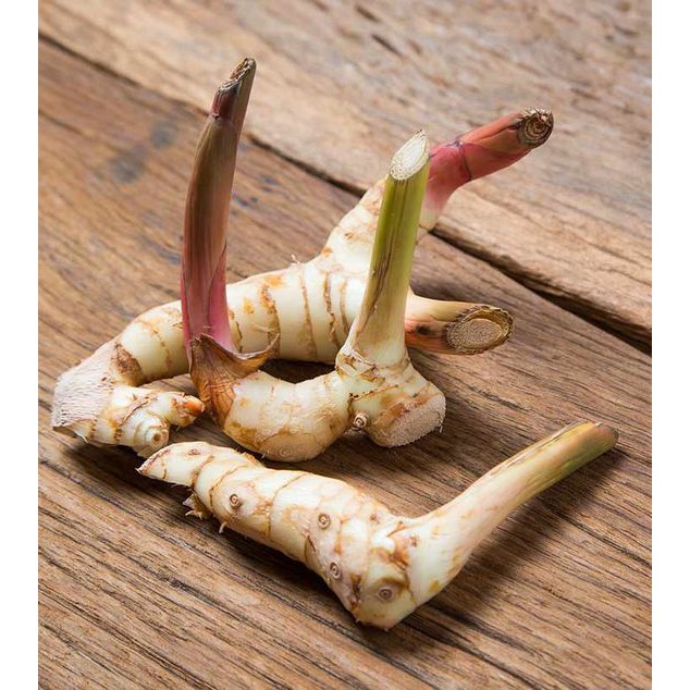 Bột giềng / riềng 100g - Galangal Powder