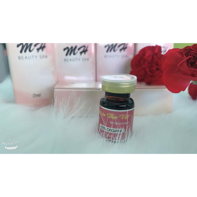 noãn thực vật mh