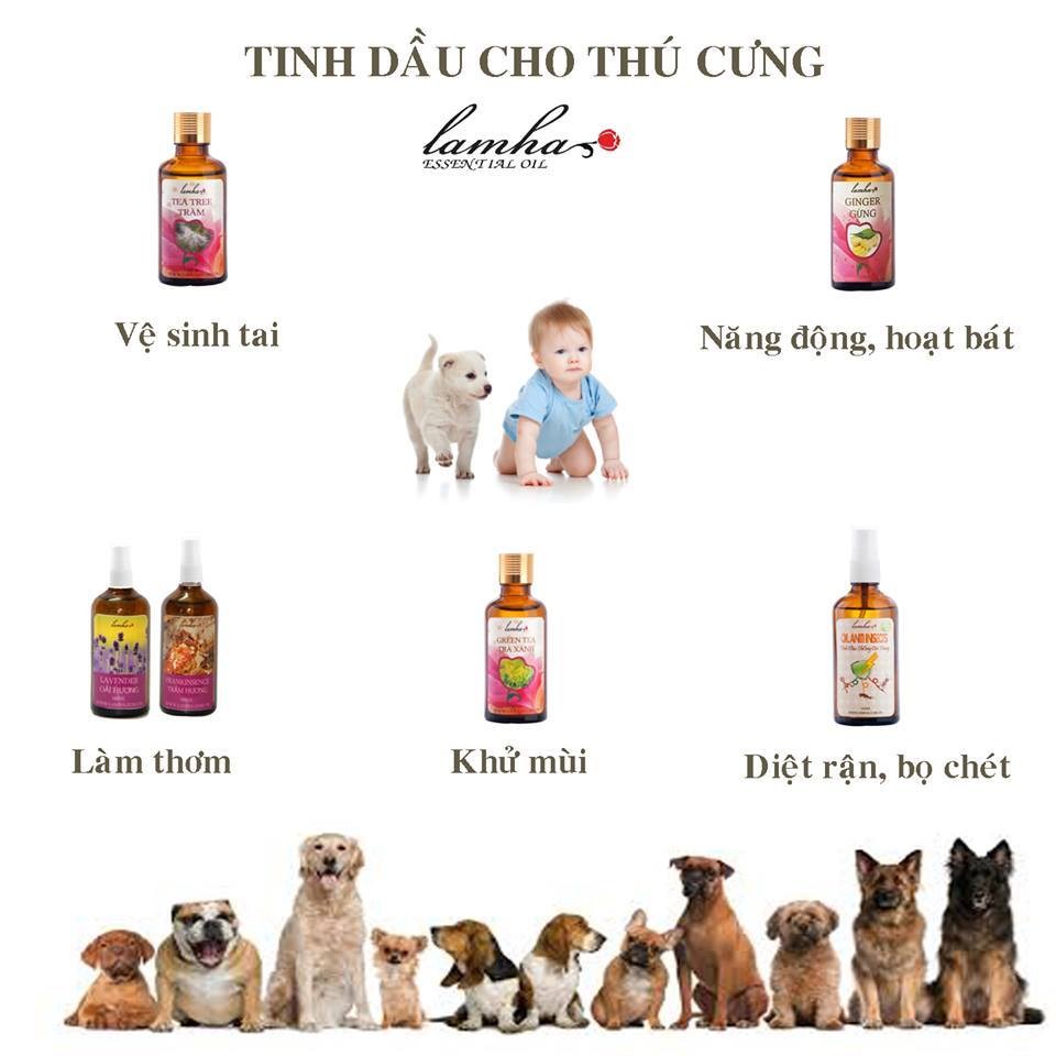 Tinh Dầu Khử Mùi, Diệt Chấy Rận Chó, Mèo