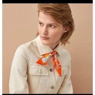 Khăn Nữ Hermes Twilly Chevaux En Liberte