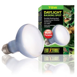 Bóng Đèn Sưởi Bò Sát Ban Ngày UVA 75W 100W Exo Terra Daylight Basking Spot Đa Chức Năng