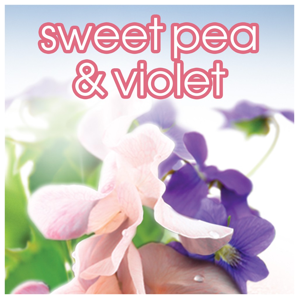 (Nội địa Mỹ) Lăn sáp khử mùi nữ Suave 74g Powder Sweet pea & violet Everlasting Sunshine Tropical Paradise Fresh USA