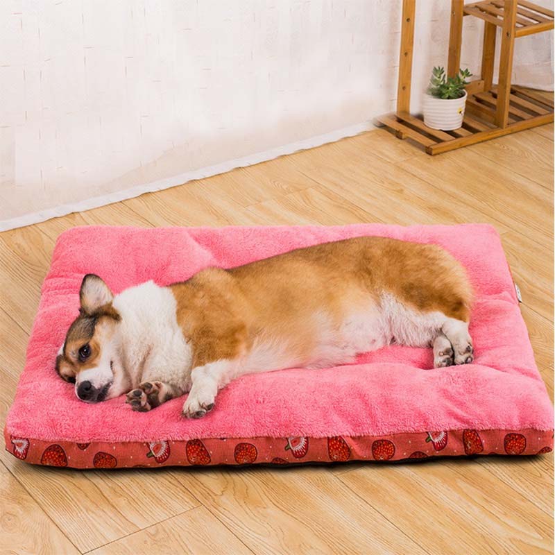 Đệm cho thú cưng lót lông mềm ấm, đệm chuyên dụng size lớn cho chó mèo