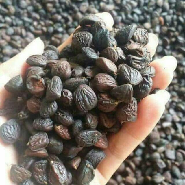 [FREESHIP 99K TOÀN QUỐC]100g hạt dổi nếp rừng