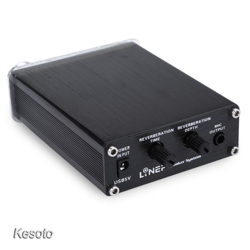 [KESOTO] A907 Microphone Sound Amplifier 2 Channel Wired PC Audio Slot for Karaoke