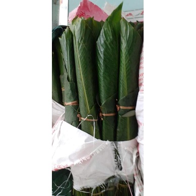Lá dong tươi gói bánh chưng, bánh tét  size trên 25cm