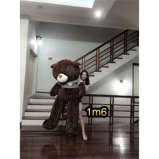 gấu teddy siêu rẻ siêu đẹp