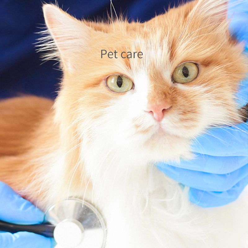 Set 10 Găng Tay PE Thân Thiện Với Môi Trường Trong Suốt Chống Bụi Chống Dầu Thân Thiện Với Môi Trường