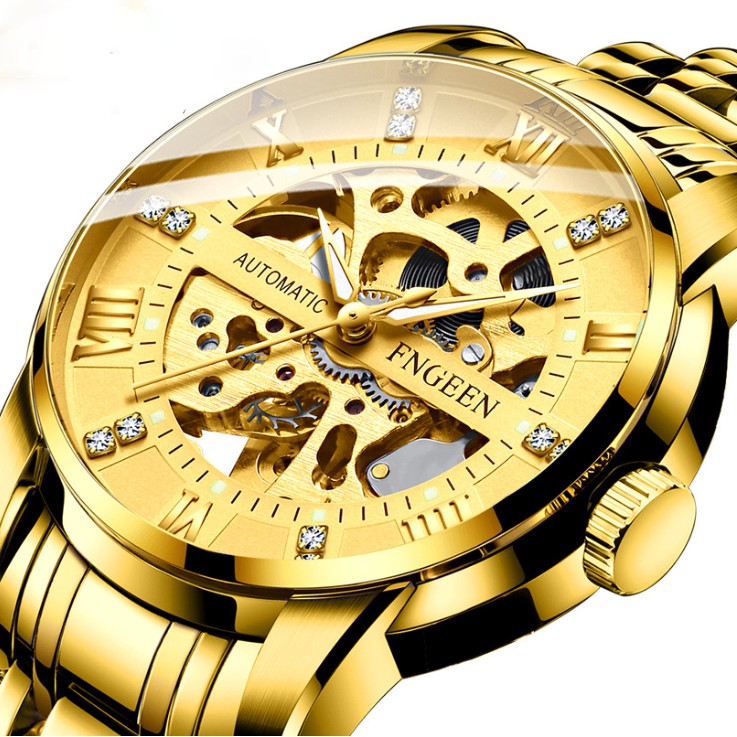 Đồng hồ cơ nam chính hãng FNGEEN lộ máy tuyệt đẹp, kiểu dáng lịch lãm, dây thép không rỉ ( Mã: AFC04 )