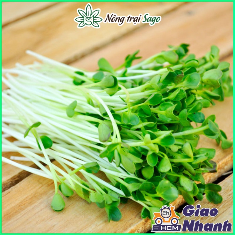 Hạt giống Rau Mầm Dễ Trồng, Thu Hoạch Sau 5-7 Ngày Gieo Trồng - Nông Trại Sago