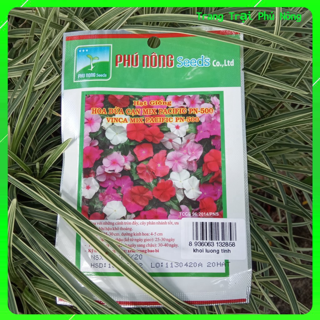 Hạt Giống Hoa Dừa Cạn Mix Pacific PN-500 - Gói 20 hạt - Vinca Mix Pacifix