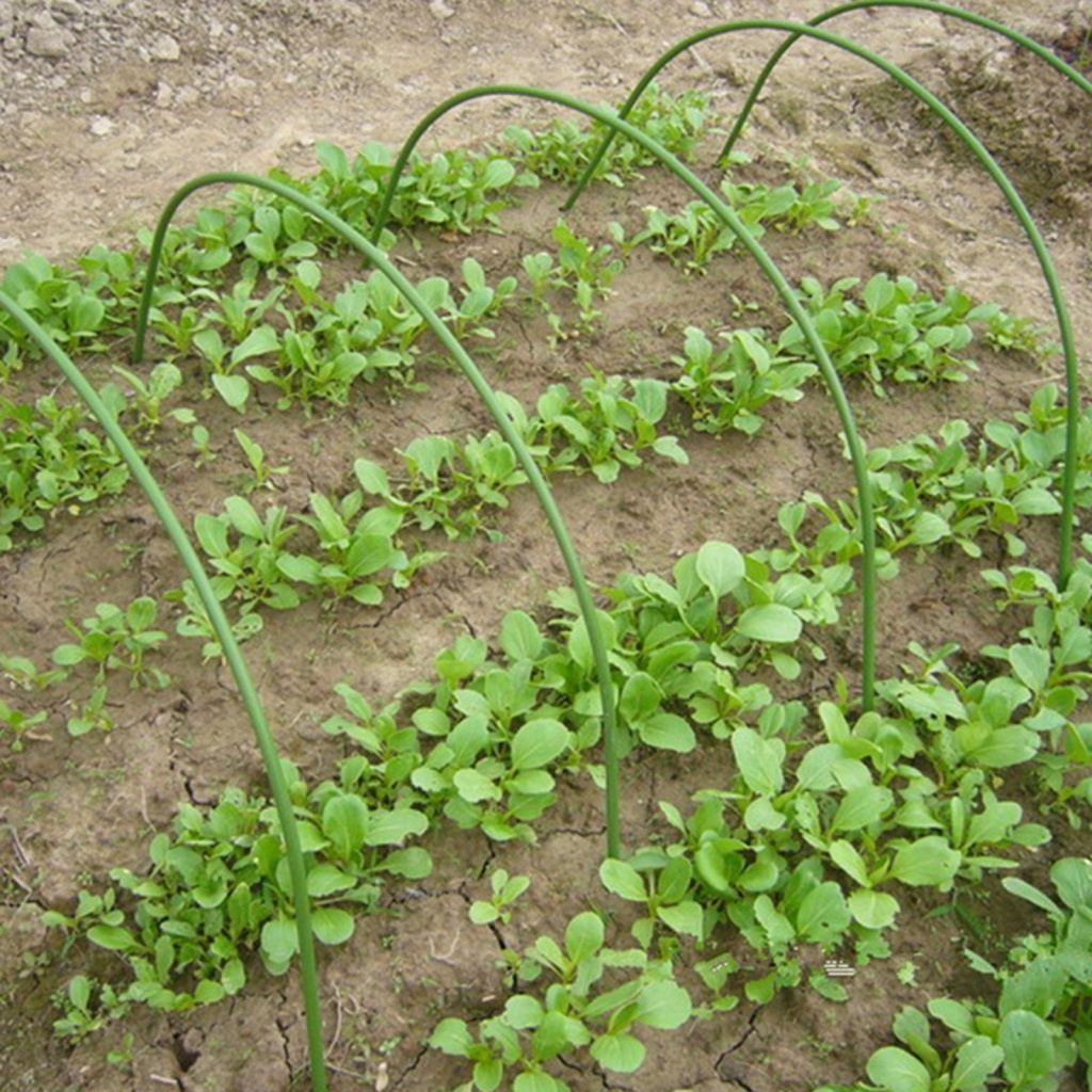 Set 6 Que Hỗ Trợ Trồng Cây 6 Que Màu Xanh Lá Cây