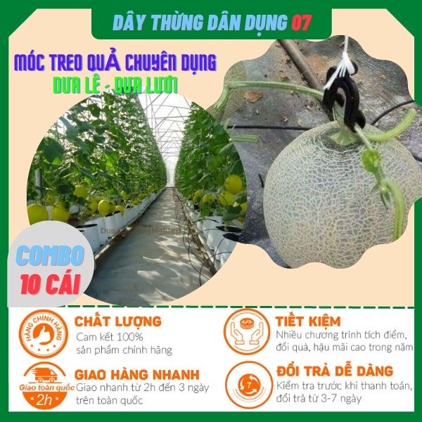 Combo 10 Móc treo trái dưa lưới, dưa lê, dưa kim,...cao cấp chuyên dụng, bền đẹp