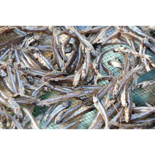 Khô Cá Cơm_500g