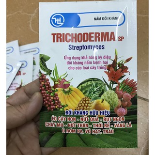 Nấm đối kháng Trichoderma sp Streptomyces