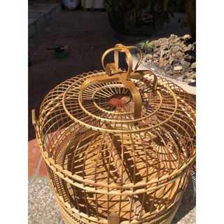 Lồng cu gáy Tre già