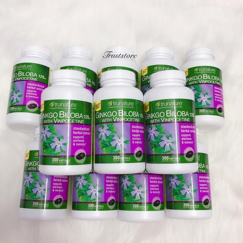 Ginkgo Biloba 120mg 300v