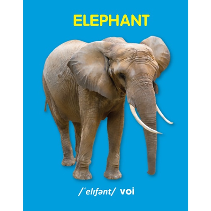 Sách - Bách khoa toàn thư cho bé - Động vật hoang dã