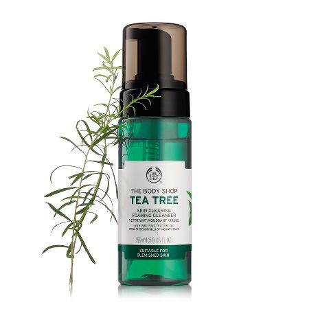 Sữa rửa mặt The Body Shop Tea Tree SKin Clearing Foaming Cleanser 150ml | BigBuy360 - bigbuy360.vn