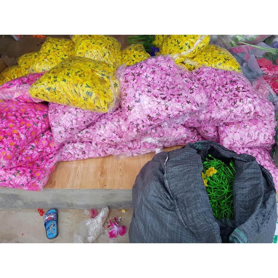 Cánh hoa mai đào rời. Giá sập sàn đón xuân sang