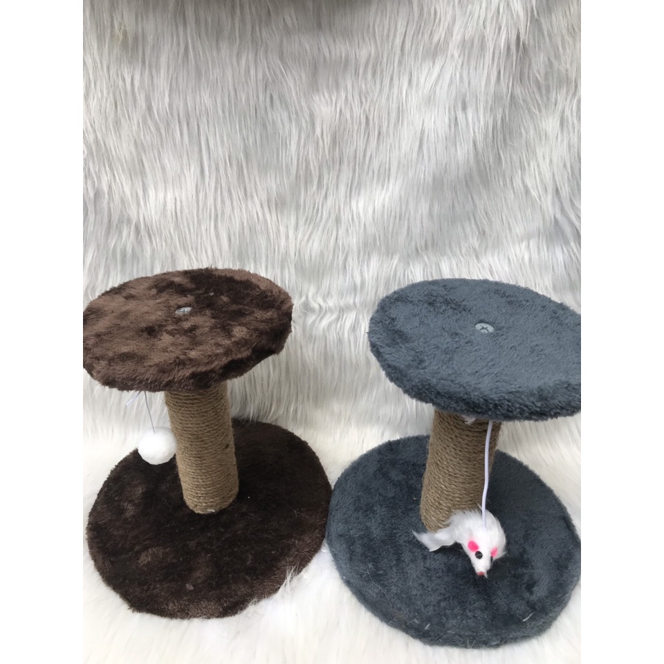 Đồ chơi cho mèo con kích thước 24cmx18cmx14 cm