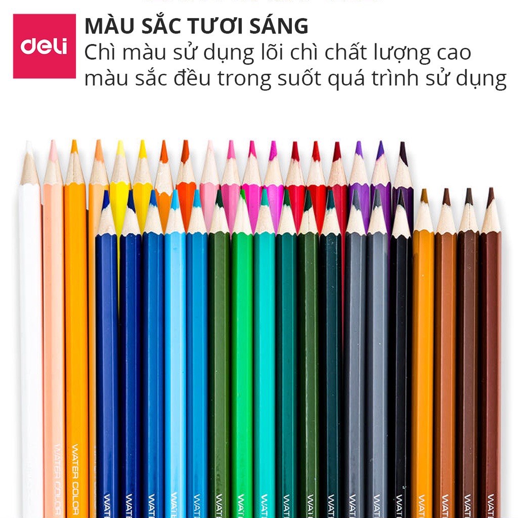 Bút chì màu có thể dùng như màu nước Deli cao cấp dạng cốc - 12/24/36/48 màu - 68129/ 68130/ 68131/ 68132