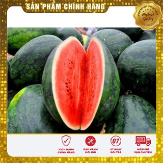 -23% COMBO HẠT GIỐNG RAU CỦ VIP