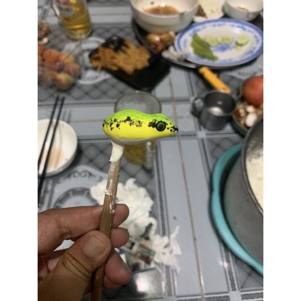 NHÁI HƠI CÂU LURE ẾCH TRÒN