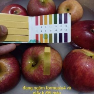 Formula 4 siberi của nga