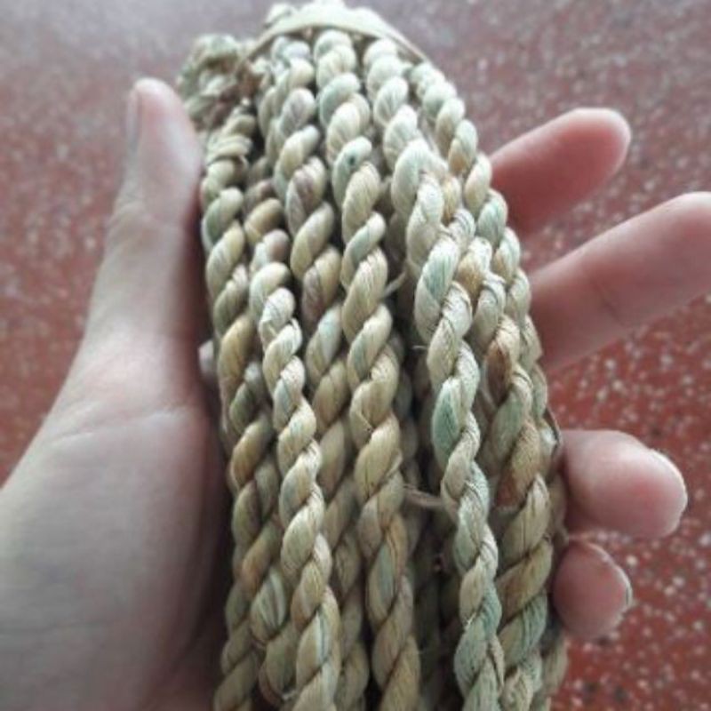 100m dây lục Bình se sợi