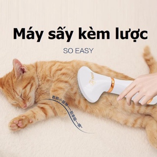 Máy sấy lông chó mèo kèm lược dùng cho thú cưng nhỏ PH820