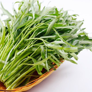 50gr - HẠT GIỐNG RAU MUỐNG