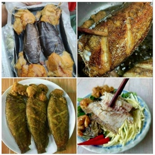 Khô cá sặc trứng 1 nắng 500g