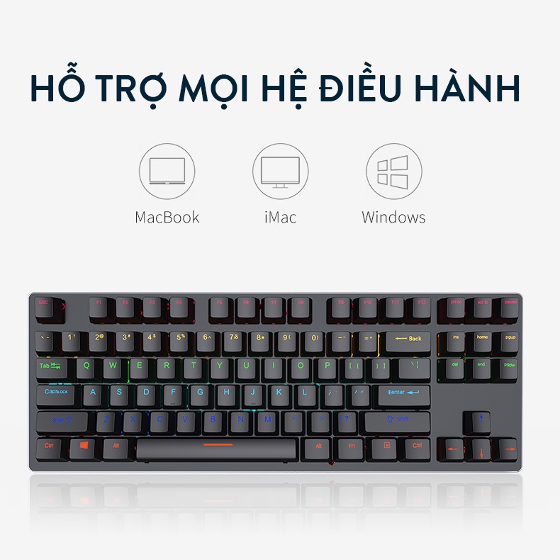 Bàn phím cơ Coputa Bàn phím cơ TKL gaming chơi game Full LED RGB K550