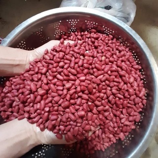 Lạc đỏ nương Điện Biên