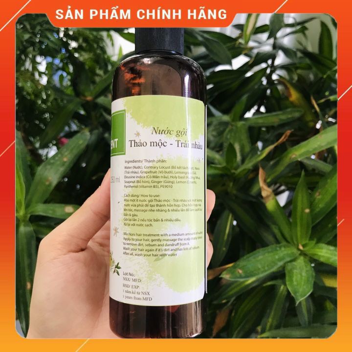 COMBO 2 loại Dầu gội thảo dược ⚡FREESHIP⚡(Có bọt và Không bọt) - Thành phần thiên nhiên an toàn cho cả gia đình 250 ml