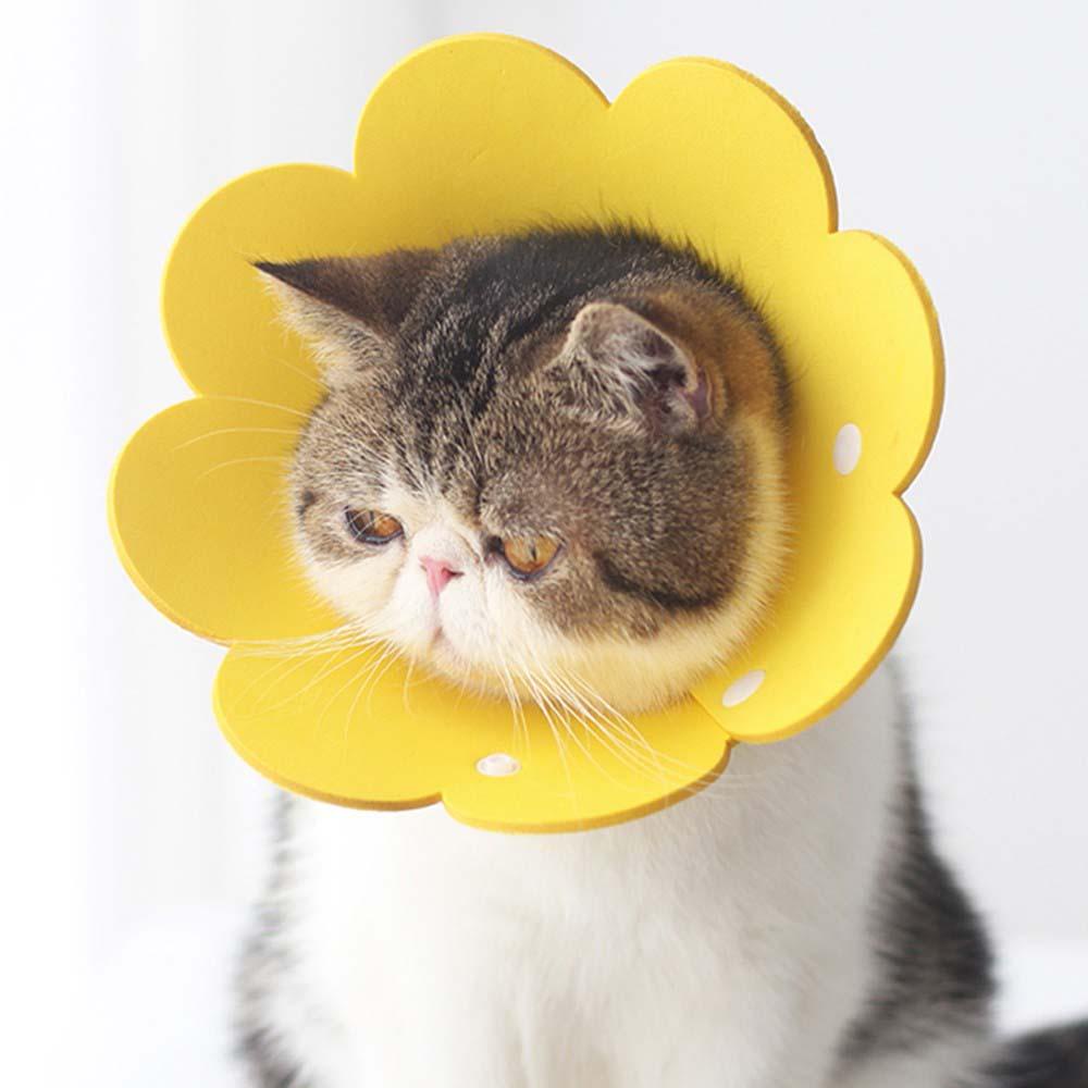 AUGUSTINA Vòng cổ hình nón mềm mại thoải mái chống liếm màu sắc bảo vệ cổ cho thú cưng