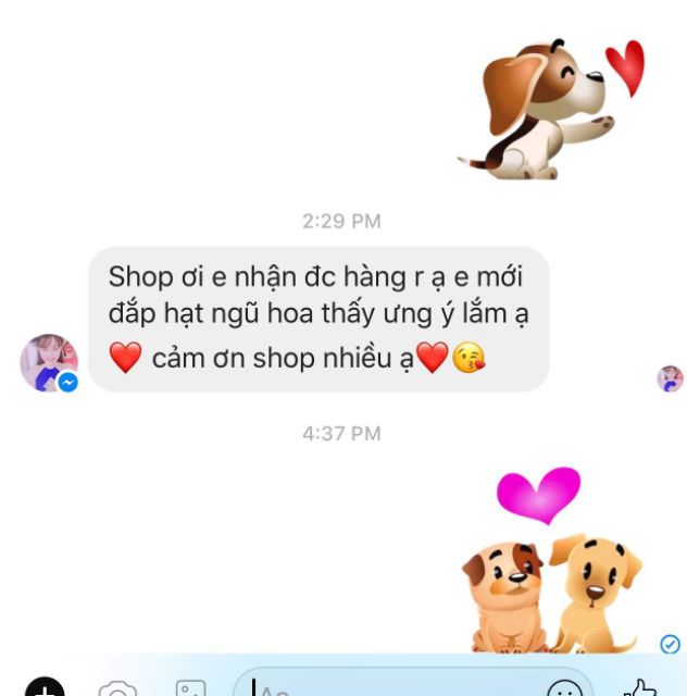 Ngũ Hoa Hạt To Sạch Hàng Loại 1 Nguyên Chất - Mỹ Phẩm Handmade | BigBuy360 - bigbuy360.vn