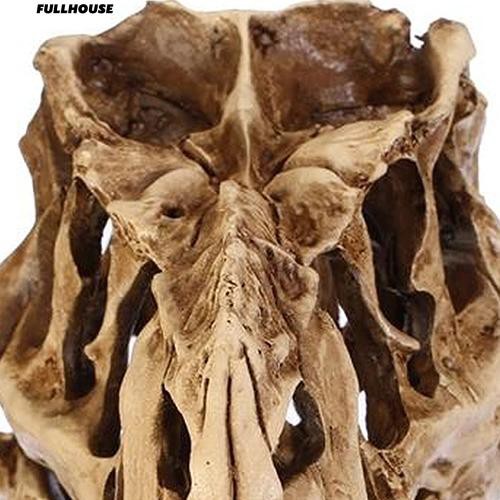 Mô Hình Bộ Xương Người Khủng Long Bằng Nhựa Dùng Để Trang Trí Nội Thất