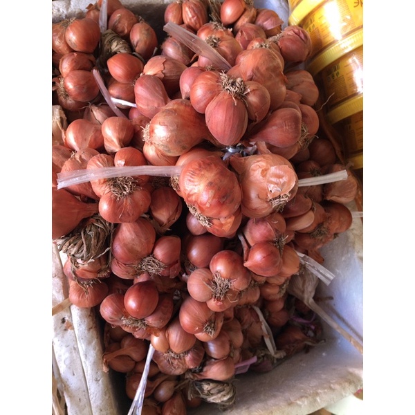 500g Hành khô ta sạch loại 1 củ to đều để được rất lâu