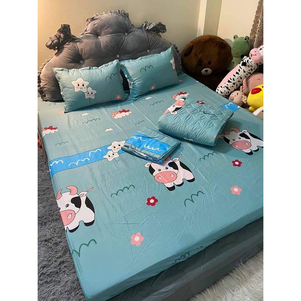 Ga Trải Giường Poly Cotton Nhiều size giường Nhiều Mẫu Tùy Chọn (Khách chọn mẫu để lại ghi chú or chát vs shop nhé)