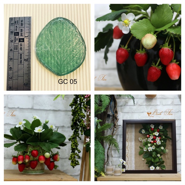 Gân hoa đất sét- gân lá cây thông dụng