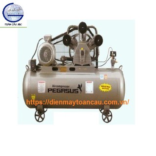 Máy nén khí Pegasus TM-V-0.25/8-180L