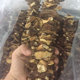 Nấm Hương rừng - Mù cang chải
